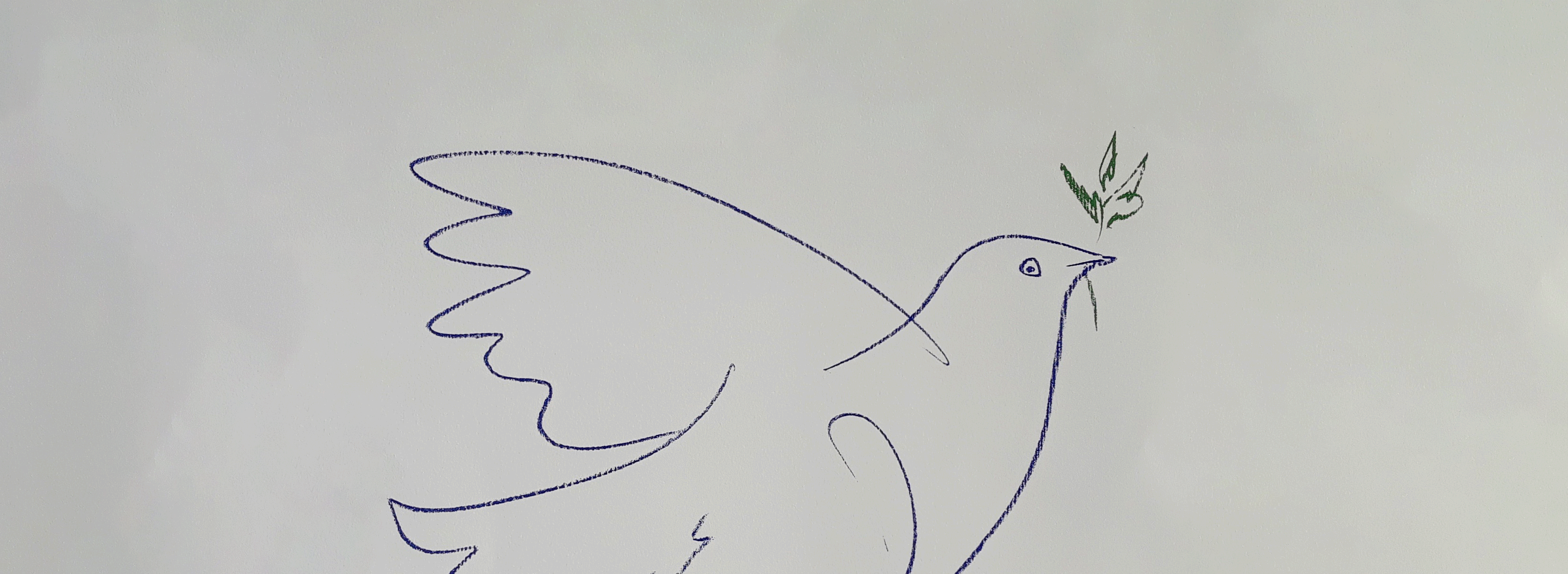 Picasso's Dove